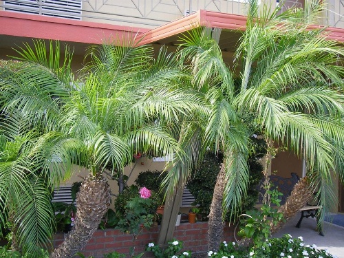 Fullerton Lodge image 25